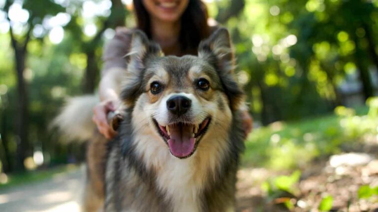 Simple science-backed ways to improve your dog’s life and happiness
